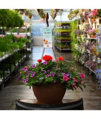 HB13" MINI AWESOME COMBO