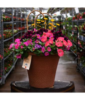 TUB12" HELIX COMBO-SUNRISE SURPRISE