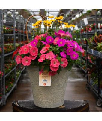 TUB12" HELIX COMBO-COLOR WHEEL