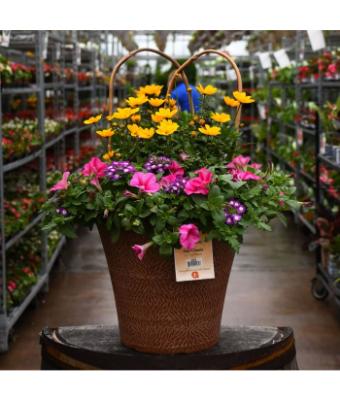 TUB12" HELIX COMBO-PINK LEMONADE