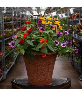 TUB12" HELIX COMBO-NIGHT ON THE TOWN