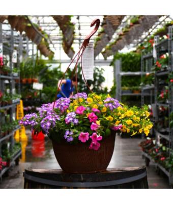 HB13" DESIGNER COMBO-PINK LEMONADE