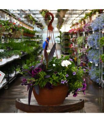 HB14" AWESOME BLIZZARD COMBO