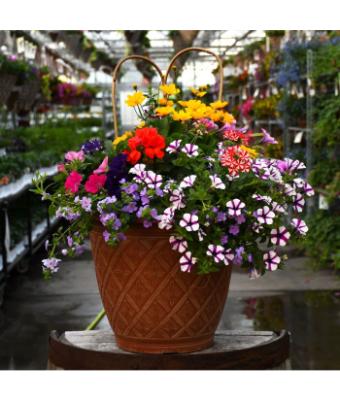 TUB16" AWESOME COMBO