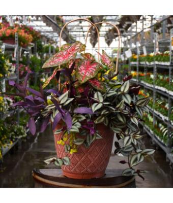 TUB16" AWESOME SHADE COMBO