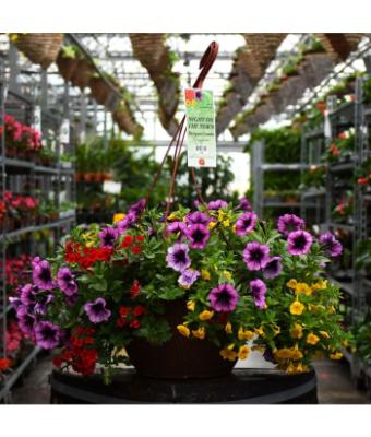 HB13" DESIGNER COMBO-NIGHT ON THE TOWN