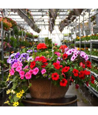 HB18" AWESOME COMBO JUMBO