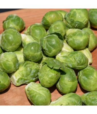 E606T/36 BRUSSEL SPROUTS