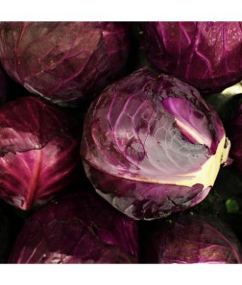 E606T/36 CABBAGE EARLY RED ACE
