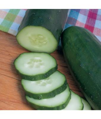 E4.75T/10 CUCUMBER BURPLESS