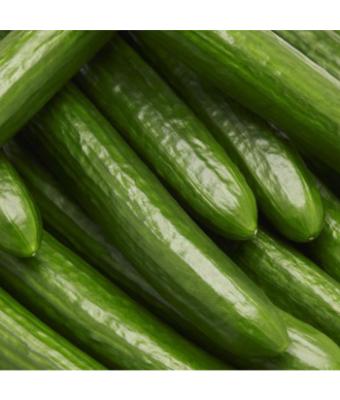 E4.75T/10 CUCUMBER ENGLISH