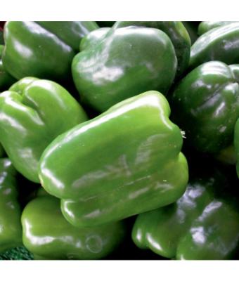 E4.75T/10 PEPPER GREEN BELL