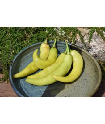 E4.75T/10 PEPPER SWEET BANANA