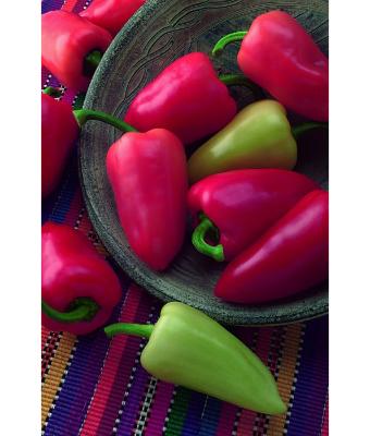 E4.75T/10 PEPPER MARIACHI