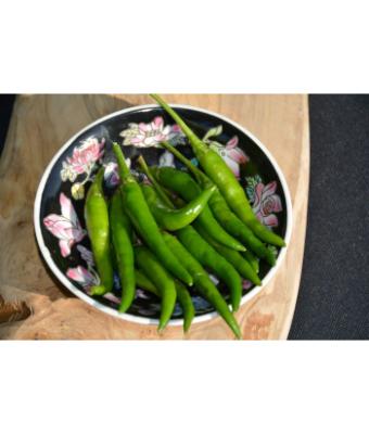 E4.75T/10 PEPPER SERRANO