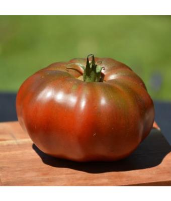 E4.75T/10 TOMATO HEIRLOOM BLACK KRIM