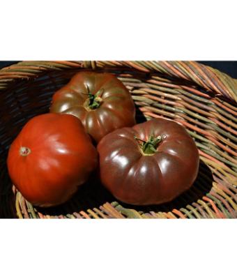 E4.75T/10 TOMATO HEIRLOOM CHEROKEE PURPLE