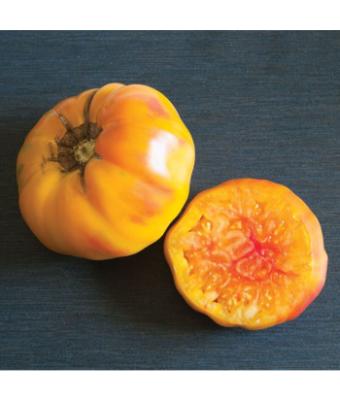 E4.75T/10 TOMATO HEIRLOOM STRIPED GERMAN