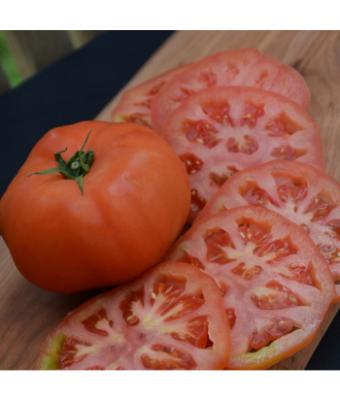 E6.5T/3 TOMATO SUPERSTEAK