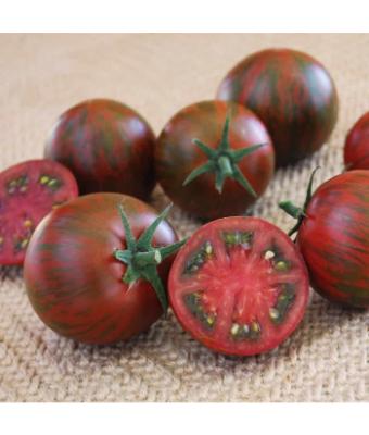 E4.75T/10 TOMATO PURPLE ZEBRA