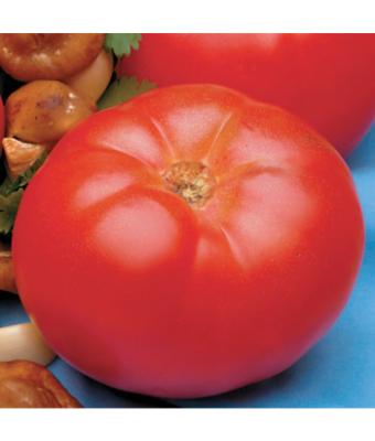 E6.5T/3 TOMATO BEEFMASTER