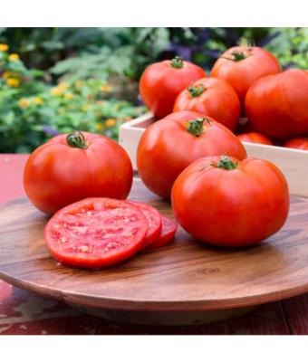 E6.5T/3 TOMATO BETTER BOY