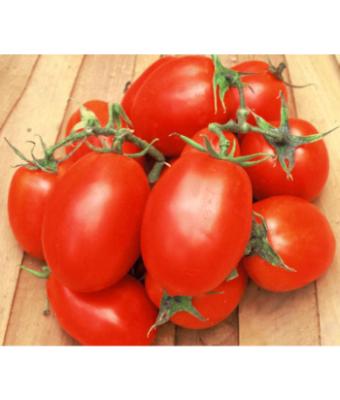E6.5T/3 TOMATO ROMA