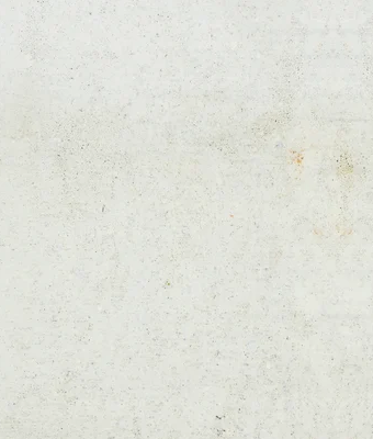 SENTINEL GRAND DISCOVER VISION