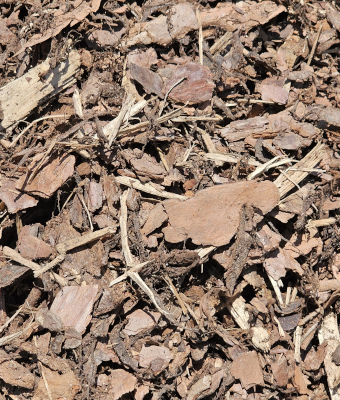 PINE BARK MULCH