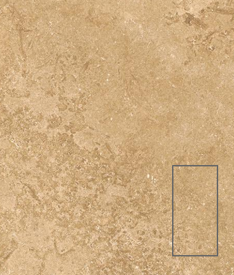 TRAVERTINE CROSS CUT WALNUT 12X24 PORCELAIN