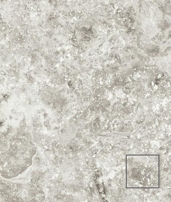 TRAVERTINE CROSS CUT SHELL 12X12 PORCELAIN