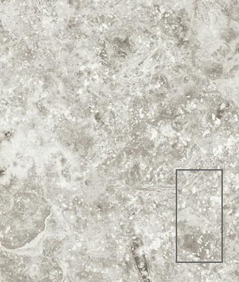 TRAVERTINE CROSS CUT SHELL 12X24 PORCELAIN