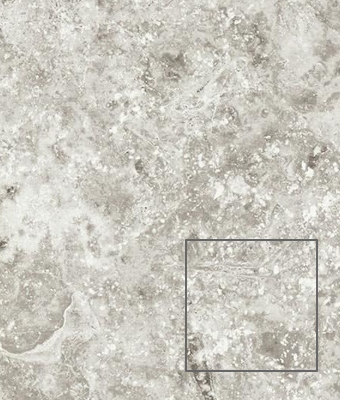 TRAVERTINE CROSS CUT SHELL 24X24 PORCELAIN