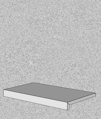 MONOCROMATICA ASH 12X24 DF COPING