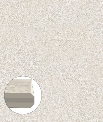 MONOCROMATICA BONE 12X24 DOUBLE BEVEL