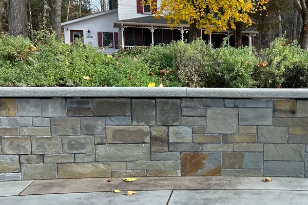 NY BLUE VICTORIA FULL COLOR VENEER FLATS