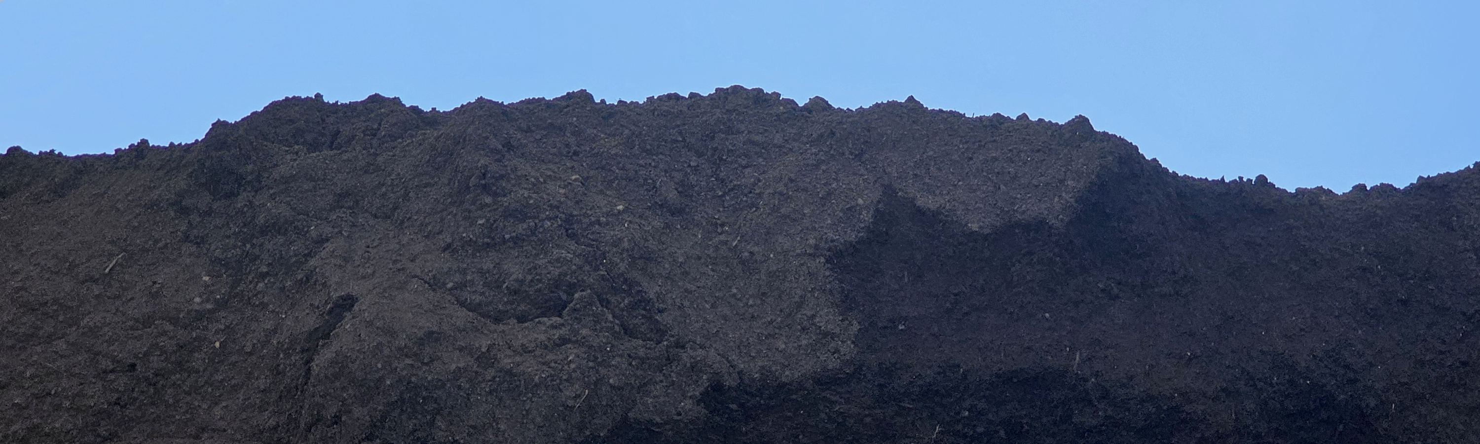 Bulk Soils