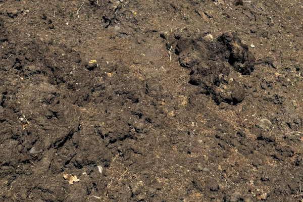 RAW UNPULVERIZED SOIL
