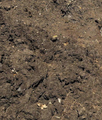 RAW UNPULVERIZED SOIL