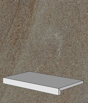 PENNSYLVANIA FULL COLOR 12X24 DF COPING