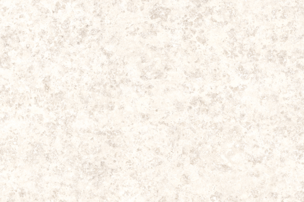 DOLOMITE DOVE 12X24 BULLNOSE