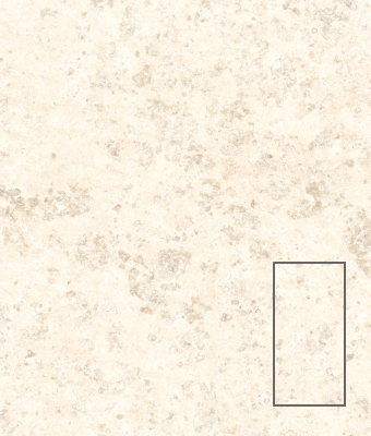 DOLOMITE WHEAT 12X24 PORCELAIN