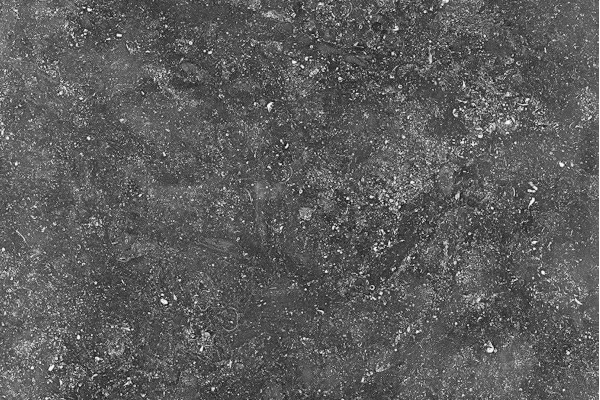 OCEANSTONE BLACK 12X24 DF COPING