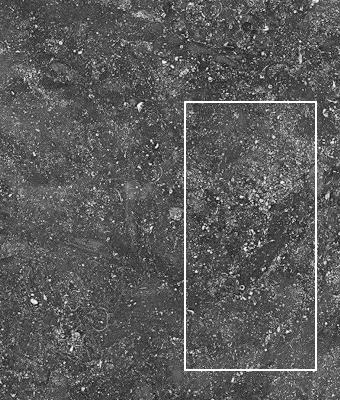 OCEAN STONE BLACK 24X48 PORCELAIN