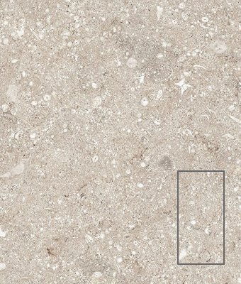 OCEAN STONE TAN 12X24 PORCELAIN