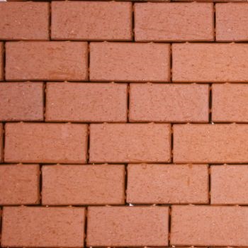 ENGLISH EDGE RED