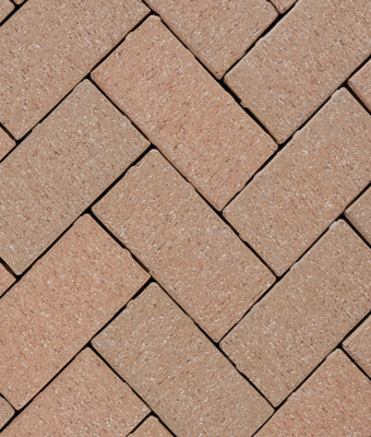 CITY LINE NUTMEG CLEAR W/LUGS 4X8