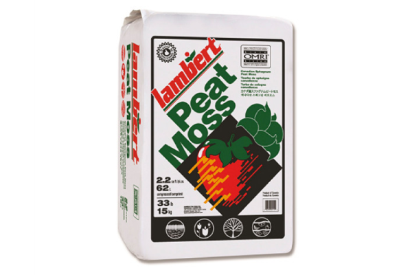 PEAT MOSS 1 CF 