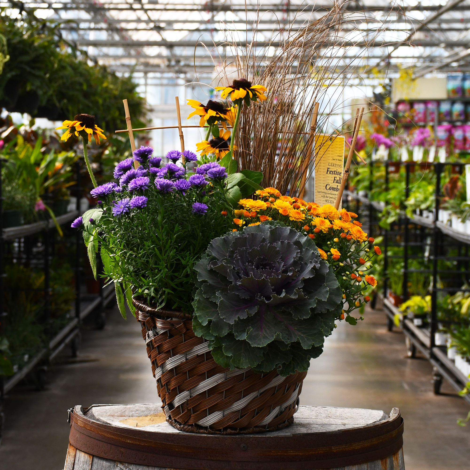 FALL COMBO-FESTIVE FALL WICKER