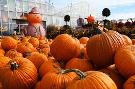 Fall Decor